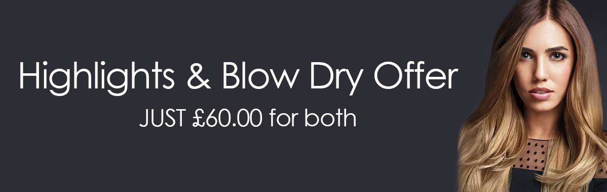 Highlights & Blow Dry OFFER